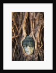 South East Asia, Thailand, Ayuthaya, Wat Mahathat, Buddha Head Entwined in Roots of Banyan Tree by Anonymous