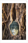South East Asia, Thailand, Ayuthaya, Wat Mahathat, Buddha Head Entwined in Roots of Banyan Tree by Anonymous
