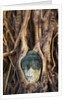 South East Asia, Thailand, Ayuthaya, Wat Mahathat, Buddha Head Entwined in Roots of Banyan Tree by Anonymous