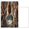 South East Asia, Thailand, Ayuthaya, Wat Mahathat, Buddha Head Entwined in Roots of Banyan Tree by Anonymous
