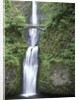 USA, Oregon, Columbia River Gorge Area, Scenic Waterfalls, Multonomah Falls by Anonymous