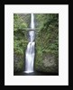 USA, Oregon, Columbia River Gorge Area, Scenic Waterfalls, Multonomah Falls by Anonymous
