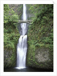 USA, Oregon, Columbia River Gorge Area, Scenic Waterfalls, Multonomah Falls by Anonymous