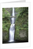 USA, Oregon, Columbia River Gorge Area, Scenic Waterfalls, Multonomah Falls by Anonymous