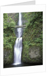 USA, Oregon, Columbia River Gorge Area, Scenic Waterfalls, Multonomah Falls by Anonymous