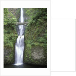 USA, Oregon, Columbia River Gorge Area, Scenic Waterfalls, Multonomah Falls by Anonymous