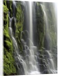 USA, Oregon, Proxy Falls - Waterfall Details by Anonymous