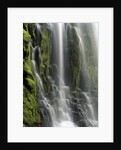USA, Oregon, Proxy Falls - Waterfall Details by Anonymous