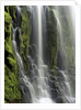 USA, Oregon, Proxy Falls - Waterfall Details by Anonymous