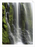 USA, Oregon, Proxy Falls - Waterfall Details by Anonymous
