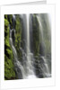 USA, Oregon, Proxy Falls - Waterfall Details by Anonymous