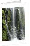 USA, Oregon, Proxy Falls - Waterfall Details by Anonymous