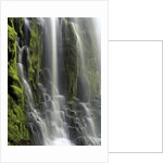 USA, Oregon, Proxy Falls - Waterfall Details by Anonymous