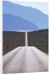 USA, California, Death Valley Roadway by Anonymous