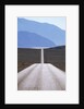 USA, California, Death Valley Roadway by Anonymous