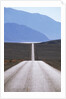 USA, California, Death Valley Roadway by Anonymous
