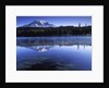USA, Mount Rainier National Park, Morning View from Reflection Lake by Anonymous
