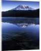 USA, Mount Rainier National Park, Morning View from Reflection Lake by Anonymous