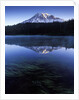 USA, Mount Rainier National Park, Morning View from Reflection Lake by Anonymous