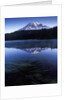 USA, Mount Rainier National Park, Morning View from Reflection Lake by Anonymous