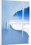 Antarctic Icicles, Snow Hill Island, Weddell Sea, Antarctica by Anonymous