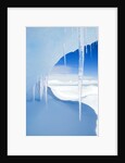 Antarctic Icicles, Snow Hill Island, Weddell Sea, Antarctica by Anonymous
