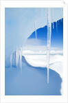 Antarctic Icicles, Snow Hill Island, Weddell Sea, Antarctica by Anonymous