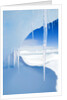 Antarctic Icicles, Snow Hill Island, Weddell Sea, Antarctica by Anonymous
