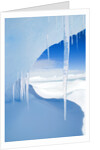 Antarctic Icicles, Snow Hill Island, Weddell Sea, Antarctica by Anonymous