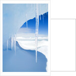 Antarctic Icicles, Snow Hill Island, Weddell Sea, Antarctica by Anonymous