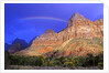Rainbow, The Watchman, Zion National Park, Utah, USA by Anonymous