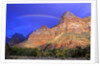 Rainbow, The Watchman, Zion National Park, Utah, USA by Anonymous