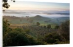 Ground fog at dawn in Val d'Orcia by Anonymous