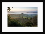 Ground fog at dawn in Val d'Orcia by Anonymous