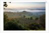 Ground fog at dawn in Val d'Orcia by Anonymous
