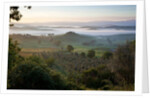 Ground fog at dawn in Val d'Orcia by Anonymous