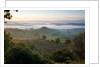 Ground fog at dawn in Val d'Orcia by Anonymous