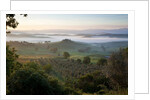 Ground fog at dawn in Val d'Orcia by Anonymous