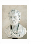 Portrait of Voltaire by Peter Anton von Verschaffelt