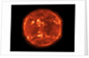 The Sun by Anonymous