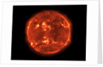 The Sun by Anonymous