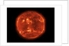 The Sun by Anonymous