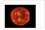 The Sun by Anonymous