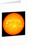 The Sun by Anonymous