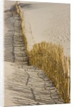 Reed fencing holding sand to prevent desertification by Anonymous