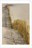 Reed fencing holding sand to prevent desertification by Anonymous