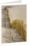 Reed fencing holding sand to prevent desertification by Anonymous