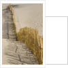 Reed fencing holding sand to prevent desertification by Anonymous