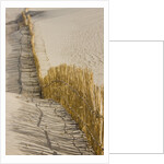 Reed fencing holding sand to prevent desertification by Anonymous
