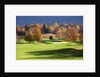 Golf course in Manchester, Vermont by Anonymous